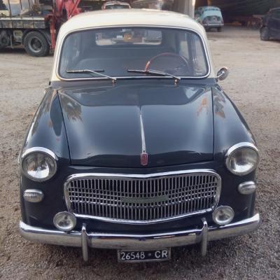 Fiat 1100-103
